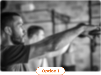 Option 1 Image